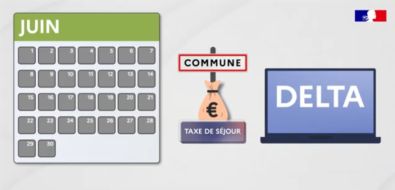 vignettebase
